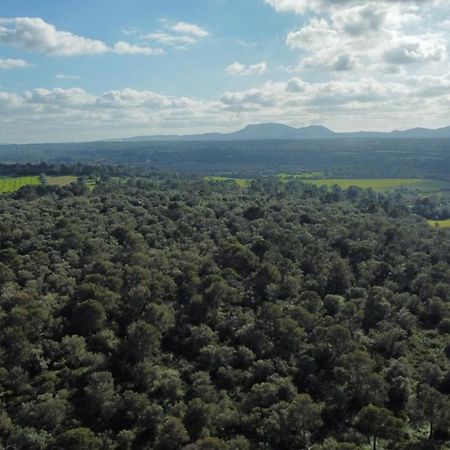 Magnifica Villa Tranquila En El Centro De Mallorca Biniali  Екстер'єр фото