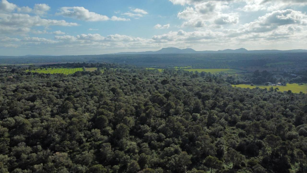 Magnifica Villa Tranquila En El Centro De Mallorca Biniali  Екстер'єр фото